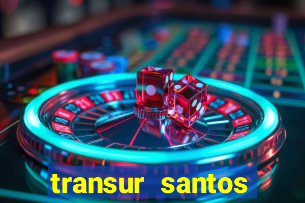 transur santos dumont x juiz de fora 2024